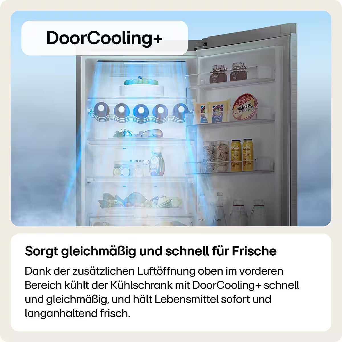 LG Kühl-/Gefrierkombination Serie 6 GBP62SWNAC