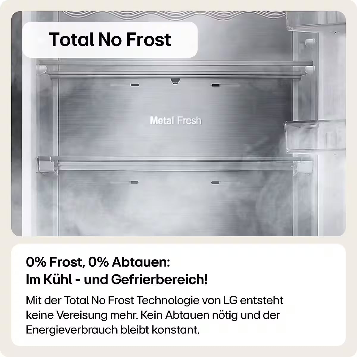 LG Kühl-/Gefrierkombination Serie 6 GBP62SWNAC